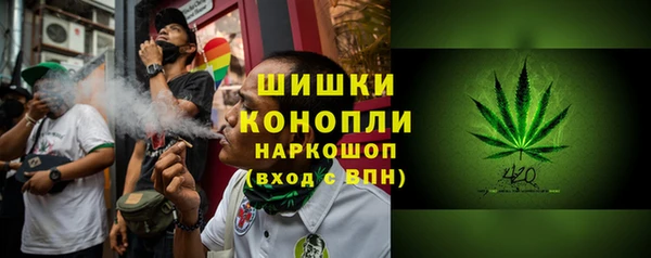 ПСИЛОЦИБИНОВЫЕ ГРИБЫ Богородицк