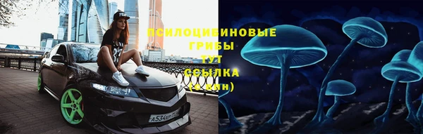 ПСИЛОЦИБИНОВЫЕ ГРИБЫ Богородицк