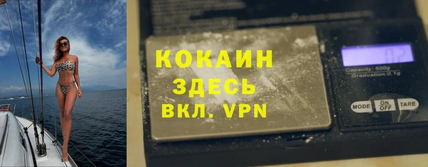 первитин Богданович