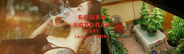 первитин Богданович