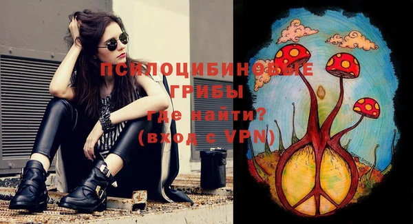 PSILOCYBIN Бронницы