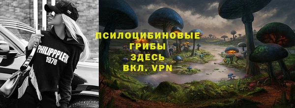 первитин Богданович