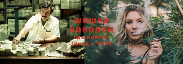 первитин Богданович