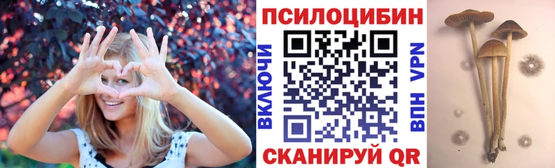 Галлюциногенные грибы Cubensis  где продают наркотики  Мончегорск 
